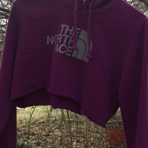 The North Face crop hoodie sweatshirt. - Picture 7 of 8